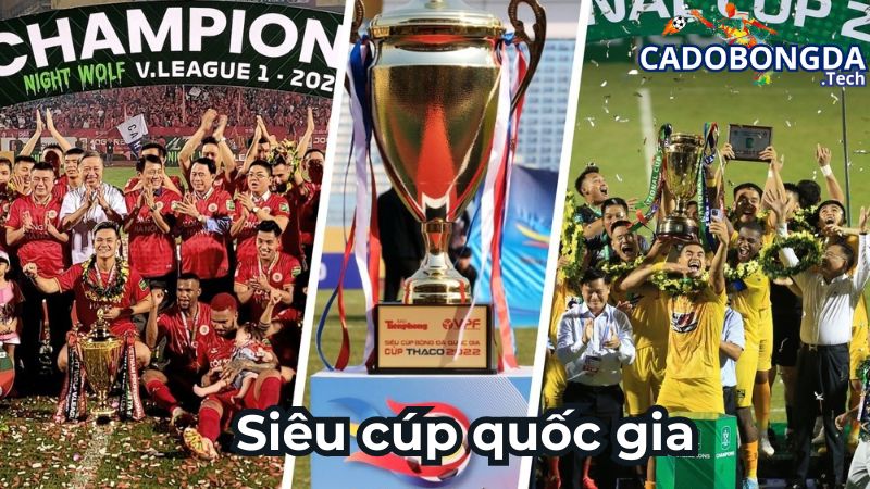Đôi nét về siêu cúp quốc gia Việt Nam Đôi nét về siêu cúp quốc gia Việt Nam